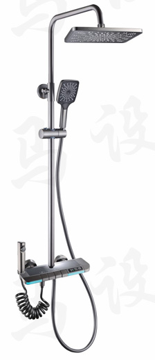 蓮蓬花灑 H009